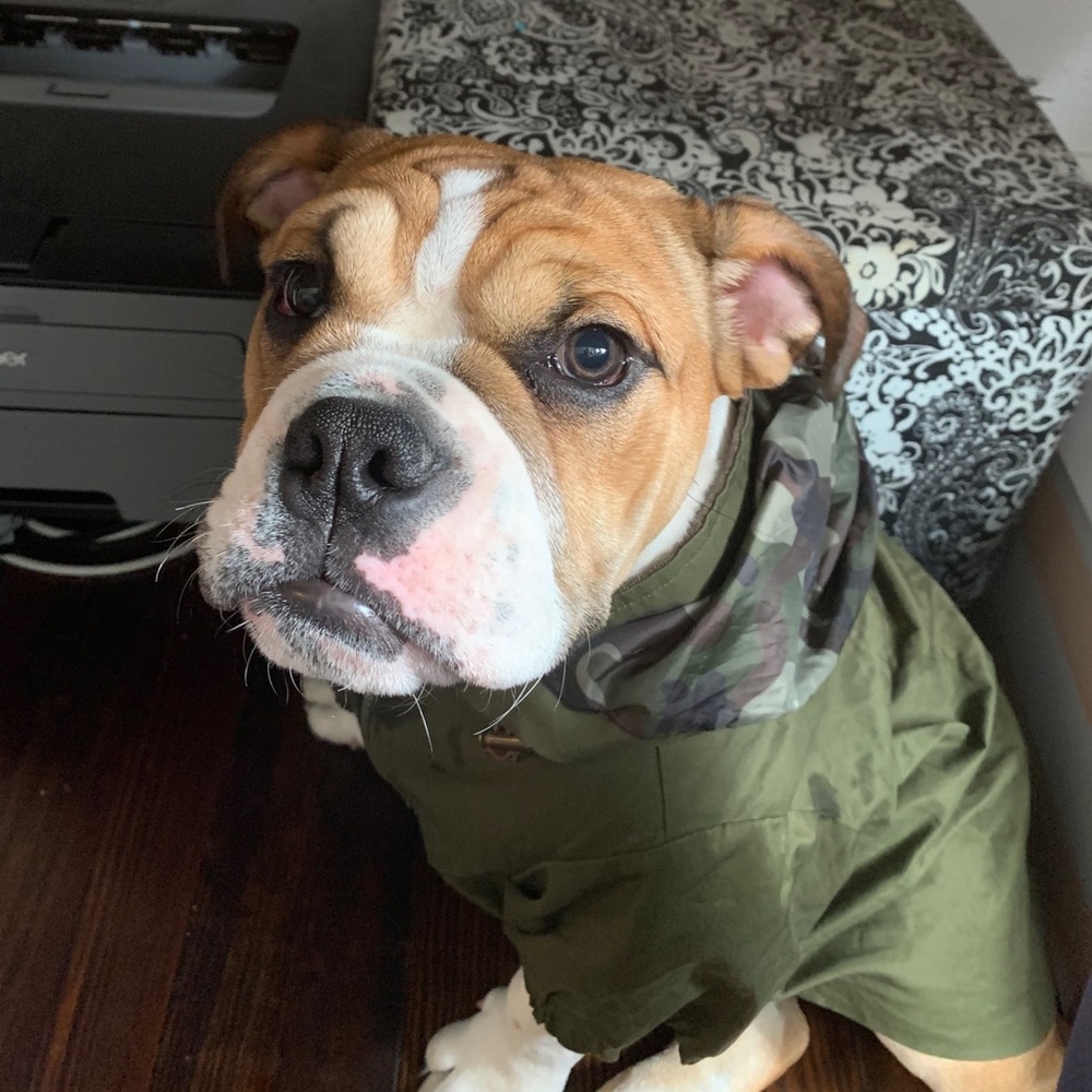 Meet your Posher, Kyle